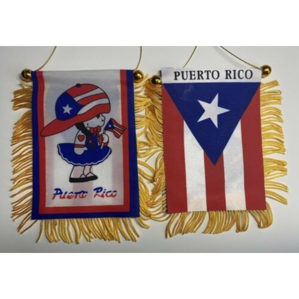 Boricua Girl Puerto Rico Mini Banner Car Window Auto Flag 4x6 2-Pack Brass Staff